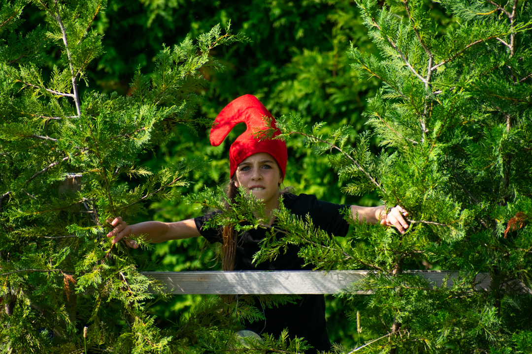 Tanzspaziergang Bild 3